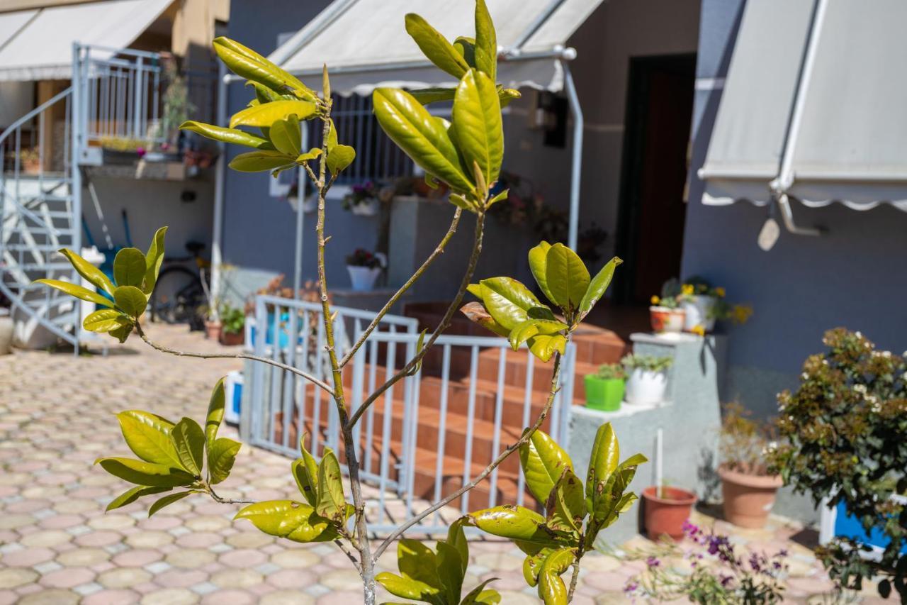Vila Aulona Vlorë 外观 照片