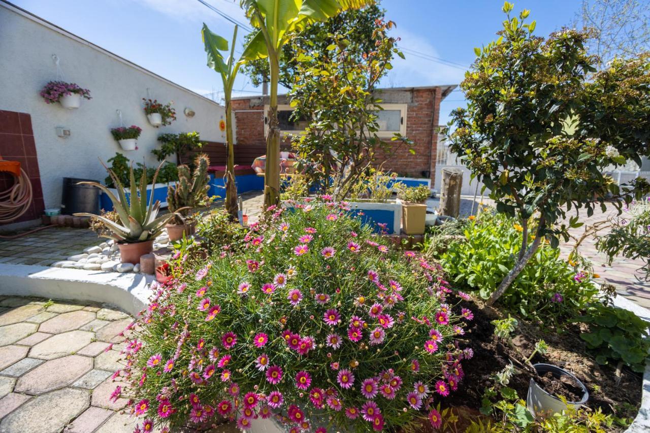 Vila Aulona Vlorë 外观 照片